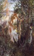 Anders Zorn Unknow work 88 Germany oil painting artist